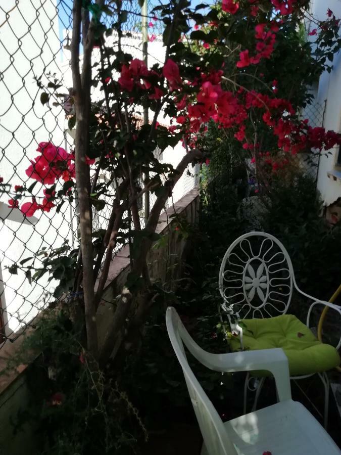 Can Pau Guesthouse Llanca Exterior photo